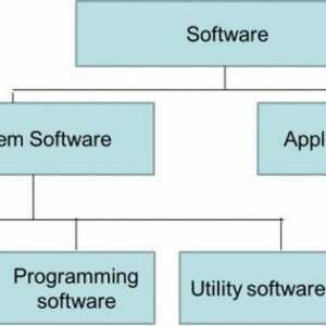 Softverski proizvodi: osnovne značajke, primjena