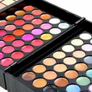Profesionalna paleta šminke: kako odabrati savršeni proizvod?
