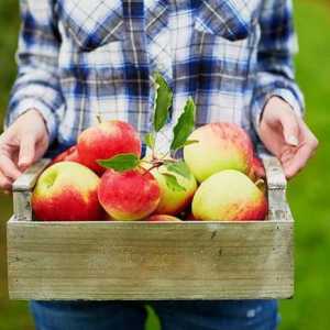 Stručni juiceri od jabuka - opisi, opisi i recenzije