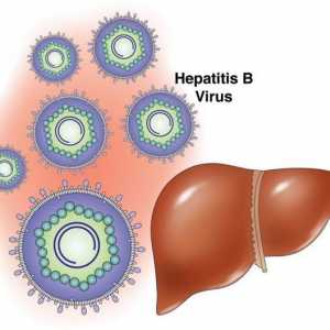 Prevencija i zaštita od hepatitisa B. Hepatitis B cjepivo