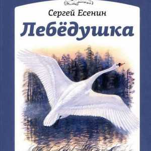 Произведение Есенина `Лебедушка`. Как поэт относится к лебедушке?