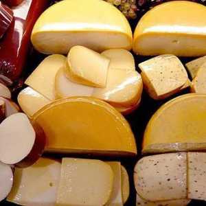 Proizvodnja sira kao posao. Mini-shop: tehnologija i oprema
