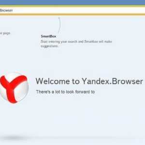 Zvuk nestaje u Yandex.Browser - mogući uzroci i rješenja problema