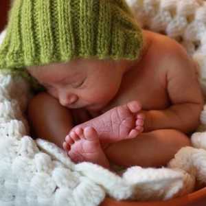 Prijava novorođenčadi: faze postupka