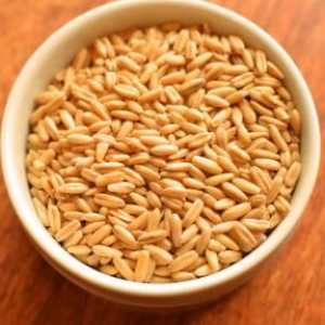 Zobena pšenica u multivarhu `Redmond`: tajne kuhanja