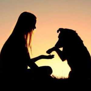 Psihologija pasa. Osnove obuke životinja