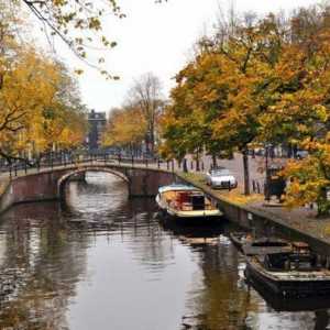 Putujte u Amsterdam u studenom