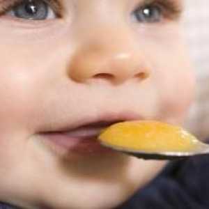 Dijete dijeta na 6 mjeseci na umjetnom, skrbnom, mješovitom hranom