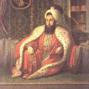 Dezintegracija Osmanskog Carstva: povijest, uzroci, posljedice i zanimljive činjenice