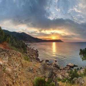 Biljke Krima: opis i fotografija