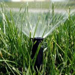 Sprinkler za zalijevanje: jednostavan i elegantan