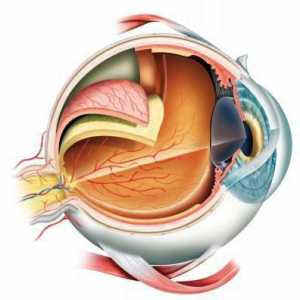 Ruptura retine: uzroci, liječenje, posljedice