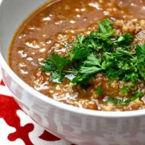 Recepti juha-harcho od govedine, piletine i u gruzijski. Soup-harcho: kako kuhati sa zadovoljstvom