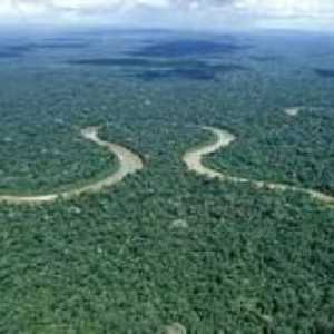 Rijeka Amazona: gdje je to?