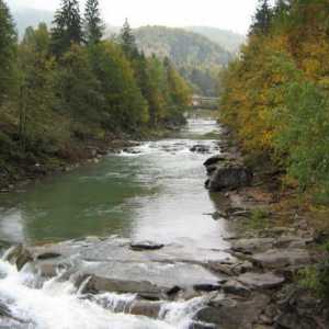 Rijeka Prut: geografija, obala, ribolov i turizam
