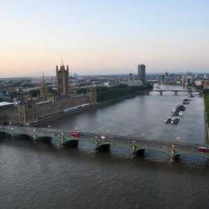 Rijeka u Londonu: ime, opis, značajke, flora i fauna