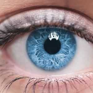 Preporuke za održavanje dobre vizije. Vitamini za vid