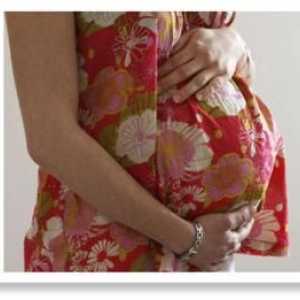 Reproduktivna funkcija obitelji - što je to?