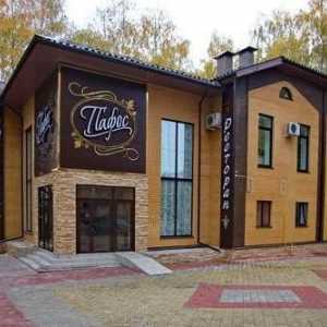Restoran `Pafos`, Tula: izbornik, adresa, recenzije