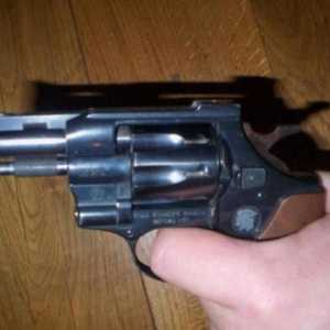 Flaubertov revolver: opis, uređaj