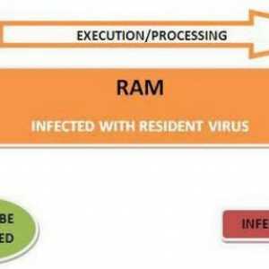 Resident virusi: što je i kako ih uništiti. Računalni virusi