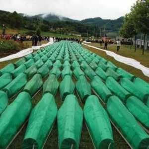 Masakr u Srebrenici 1995. godine: razlozi