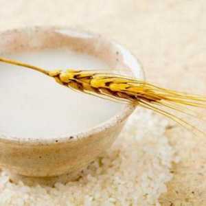 Rice kvas: korist i zla