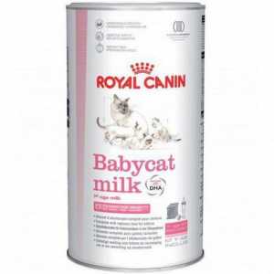 "Royal Kanin" - zamjena za mačje mlijeko