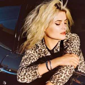Rock-pjevač Alison Mosschart: biografija, osobni život