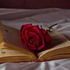 Romantizam kao književni trend. Romantizam u književnosti 19. stoljeća