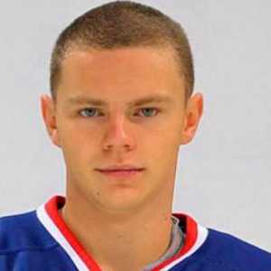 Ruski napadač Mikhailov Dmitry: povijest karijere hokejaša