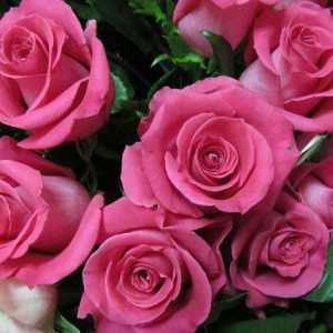 Rose `Topaz `: povijest podrijetla, uvjeti uzgoja i izgled