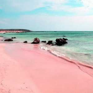 Ružičasta plaža: gdje je? opis