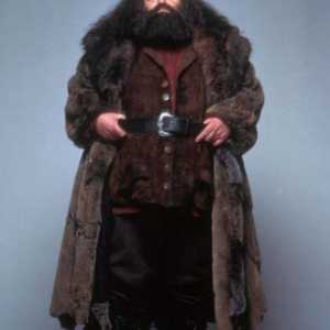 Rubeus Hagrid: glumac i njegova uloga