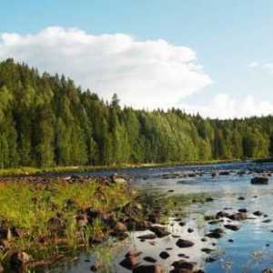 Ribolov divljina u Karelia: recenzije. Gdje ići u Kareliju za ribolov divljim