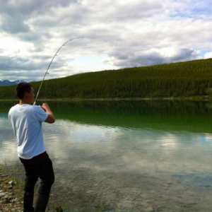 Ribolov u Almaty regiji: mjesta i sorte riba