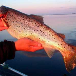 Ribolov u Kalmykia je neizrecivo iskustvo