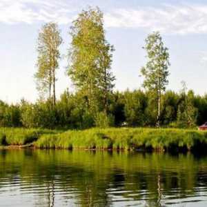 Ribolov u Nefteyugansk: značajke, fotografije i recenzije
