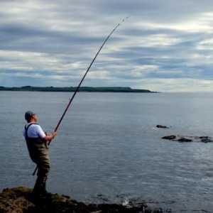 Ribolov u Primoryeu: gdje i koga uhvatiti