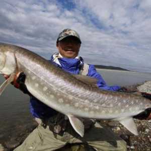Ribolov u Sibiru: Značajke i pogodnosti