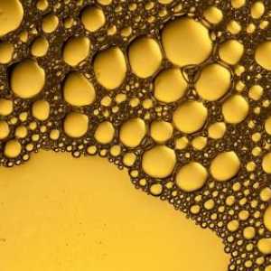 Što je od jagodastih ulja? Likoftalno ulje: primjena, korisna svojstva i opis
