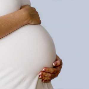 Od kojeg tjedna počinje trudnoća trudnoće? Značajke razdoblja, razvoj fetusa