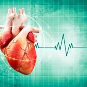 Najučinkovitiji lijek za srčanu aritmiju: popis, recenzije