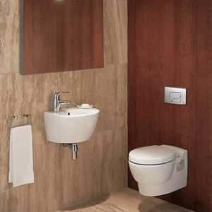 Najmanji sudoperi za WC: dimenzije. Dizajn malog wc-a s sudoperom