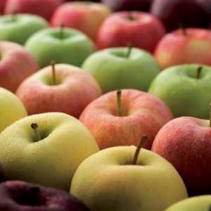 Raznolikost vrsta jabuka