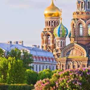 St. Petersburg: galerije koje vrijedi posjetiti. Fotografije i recenzije turista