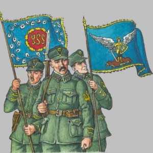 Sich Riflemen: Povijest. Bitka i pobjeda Sich Riflemenova na planini Makowka