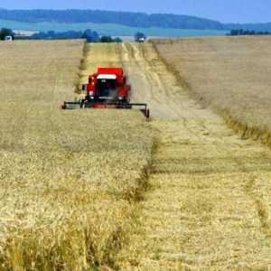 Poljoprivreda Bjelorusije: značajke razvoja