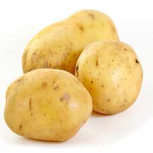 Obitelj Solanaceae. Plod noćnih biljaka krumpira i rajčice zove se kao?