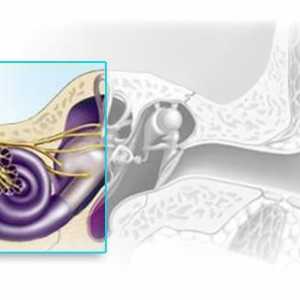 Sensorineural gubitak sluha: stupnjeva, liječenje
